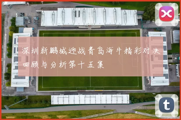 深圳新鹏城迎战青岛海牛精彩对决回顾与分析第十五集